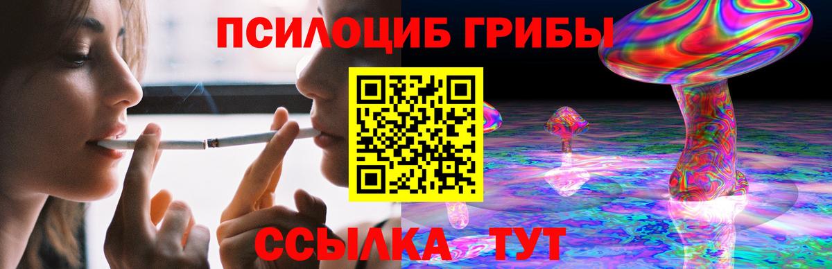 Псилоцибиновые грибы Psilocybe  Вход с VPN  Пушкино 